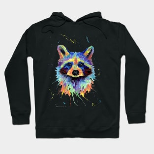 Multicolour Raccoon Art Hoodie